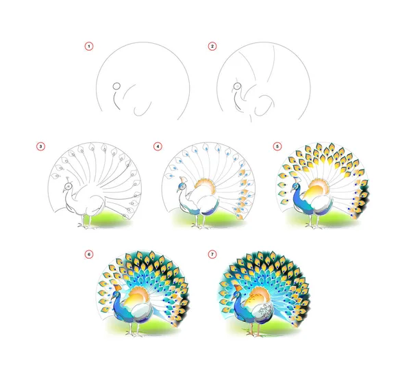 Comment Apprendre Dessiner Croquis Beau Paon Avec Queue Lâche Création — Image vectorielle