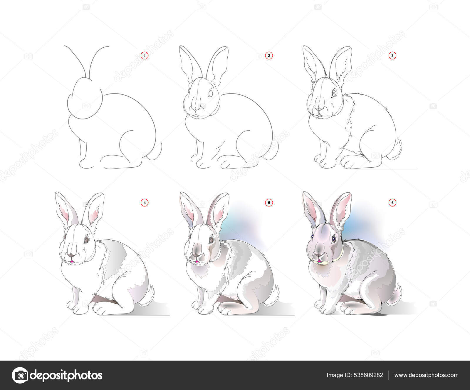 how to draw a cute bunny step by step  Rabbit drawing, Easy doodles  drawings, Drawing tutorial