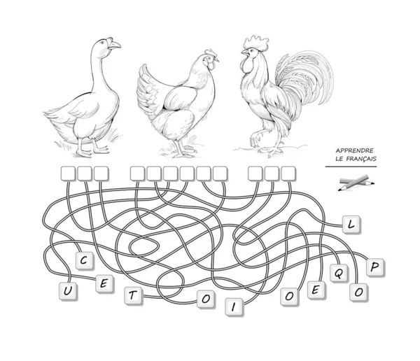 Aprende Francés Lógica Juego Puzzle Con Aves Granja Para Estudio — Archivo Imágenes Vectoriales