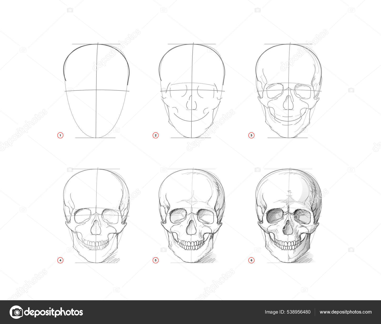 Vettoriale stockPage Mostra Come Imparare Disegnare Schizzo Cranio Umano  Creazione Passo di ©Nataljacernecka #538956480, image size:1600x1364