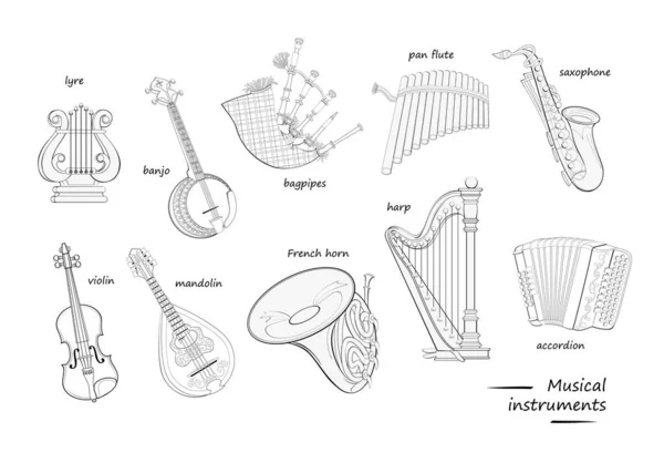 Musikinstrumente Mit Namen Malbuch Schwarzweiß Illustrationen Für Enzyklopädie Oder Schulbuch — Stockvektor