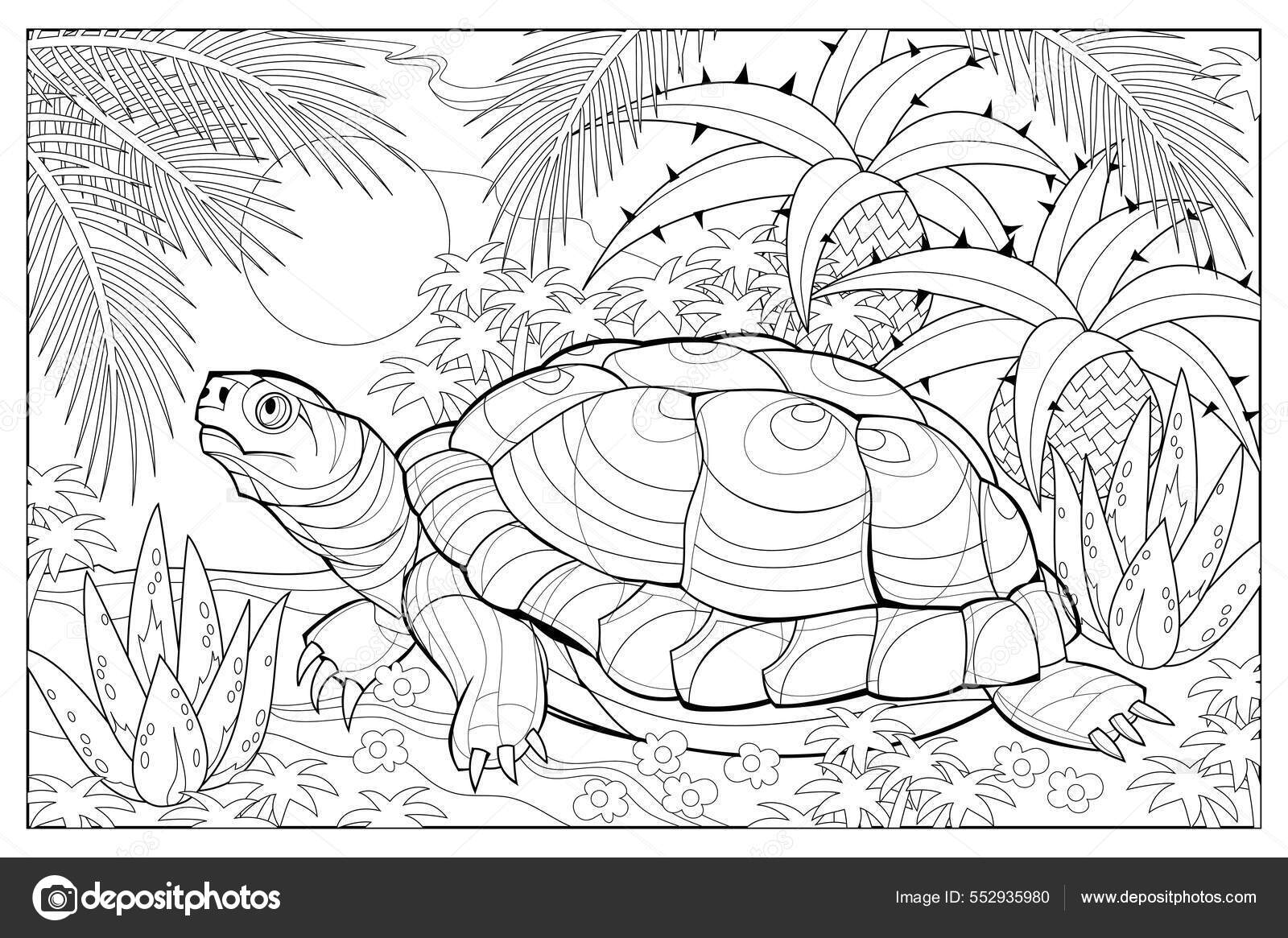 Illustration Cute Turtle Coloring Book Children Adults Image Zentangle