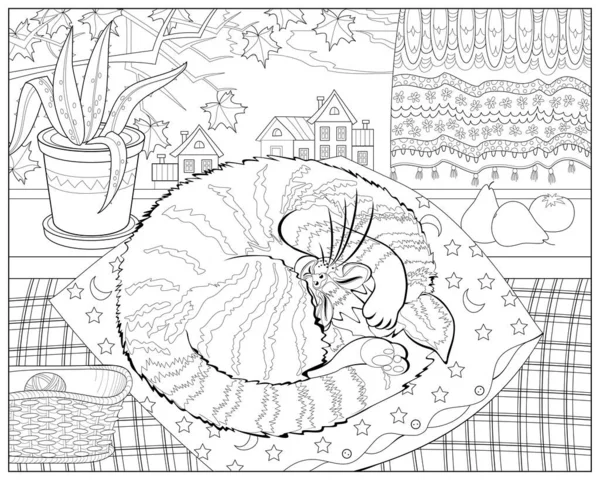 Милий Кіт Спить Подушці Теплій Кімнаті Біля Вікна Розмальовка Дітей — стоковий вектор