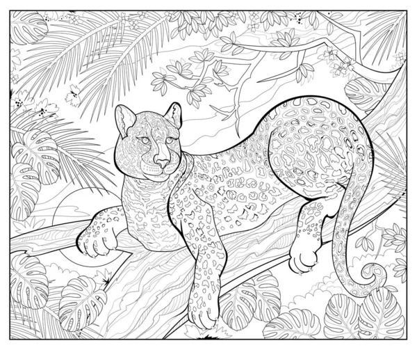ヒョウはジャングルに座っている 子供と大人のためのぬり絵 野生動物熱帯動物 画像は全角形式 図面や瞑想のための印刷可能なページ 白黒ベクトルイラスト — ストックベクタ