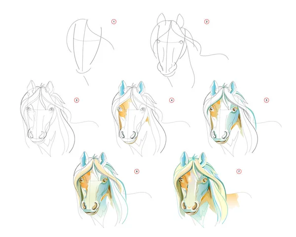 Hogyan Tanuljunk Meg Rajzolni Lófejről Létrehozása Lépésről Lépésre Akvarell Festés — Stock Vector