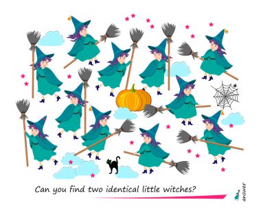 Logic puzzle game for children and adults. Can you find two identical little witches? Page for kids brain teaser book. Task for attentiveness.  IQ test. Play online. Vector cartoon illustration.