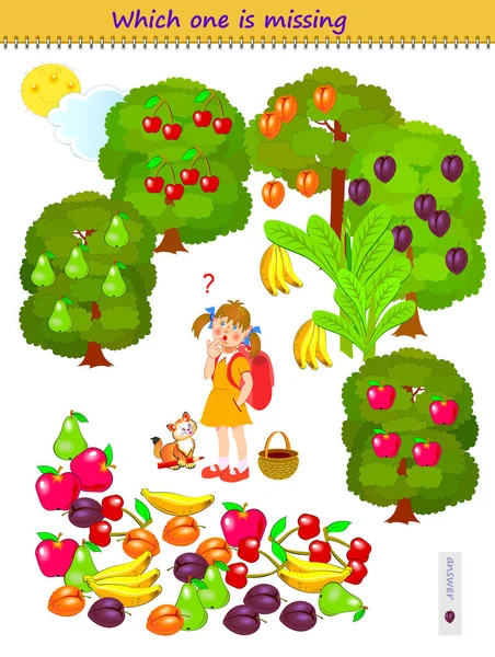 Logic Puzzle Game Children Adults What Fruit Girl Forgot Gather — Stockový vektor
