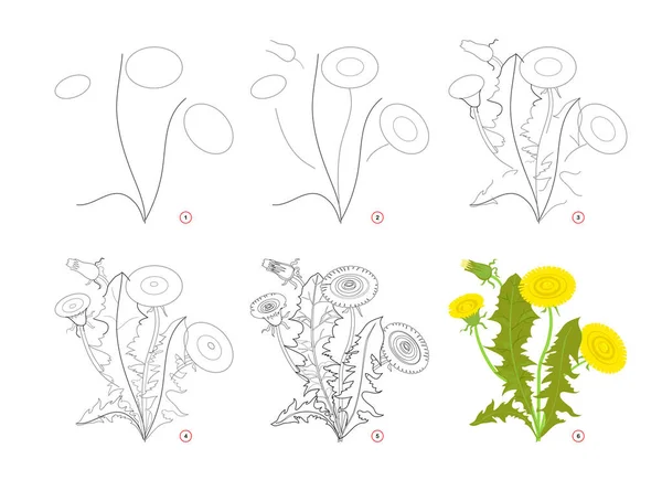 Page Shows How Learn Draw Step Step Toy Dandelion Developing — Stockový vektor