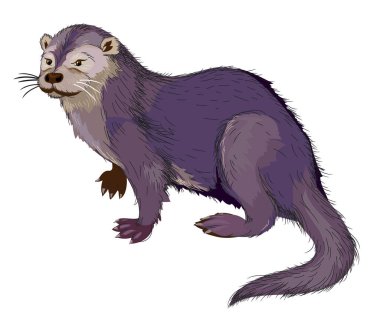 Illustration of river otter. Mammal of the weasel family. Wildlife animals. Isolated drawing on white background. Print for fabric, fashion, decoration, embroidery, wallpaper. Flat cartoon vector. clipart