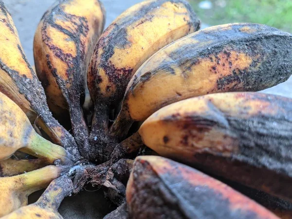 Closeup Banana Starting Rot Turn Black — 스톡 사진