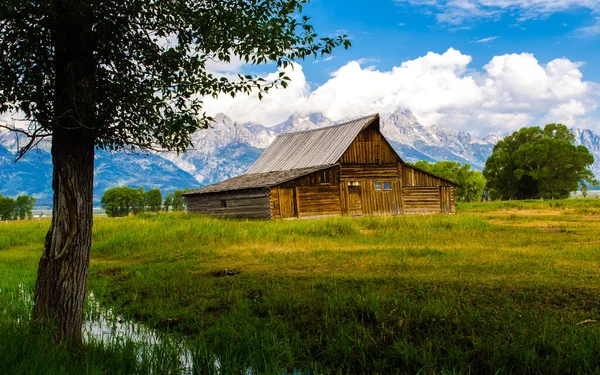 Grand Teton Milli Parkı ABD