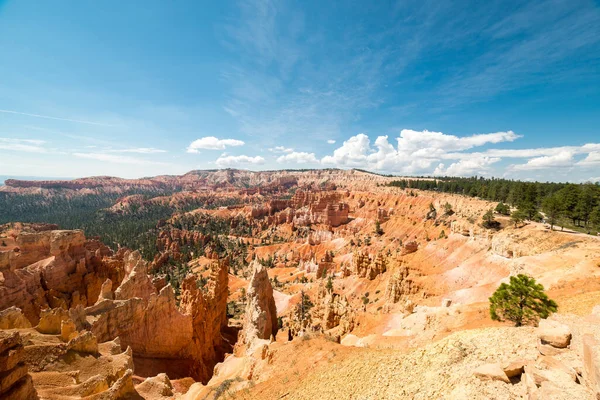 Bryce Canyon Ulusal Parkı Abd — Stok fotoğraf