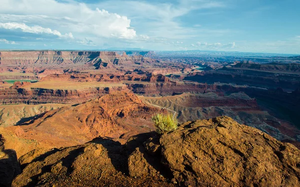 Canyonland, kayanın tepesinde, Amerika