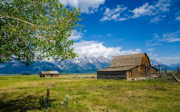 Grand teton Milli Parkı, ABD