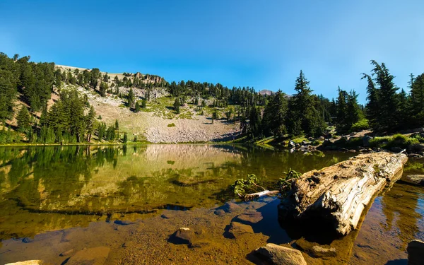 rainier Dağı Milli Parkı