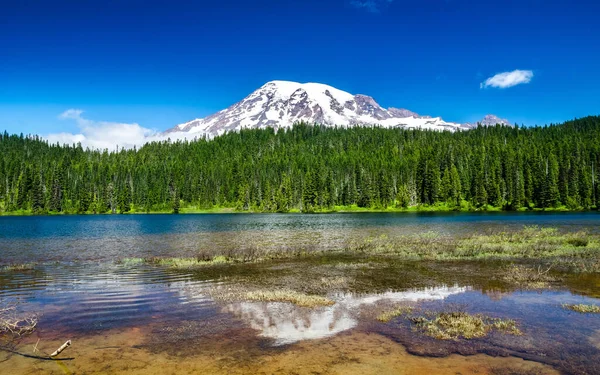 rainier Dağı Milli Parkı