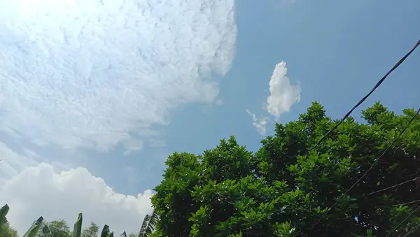 Тіньове Зелене Дерево Синє Небо Хмари Фону — стокове фото