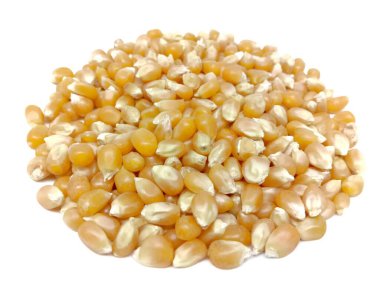 dry corns isolated on a white background