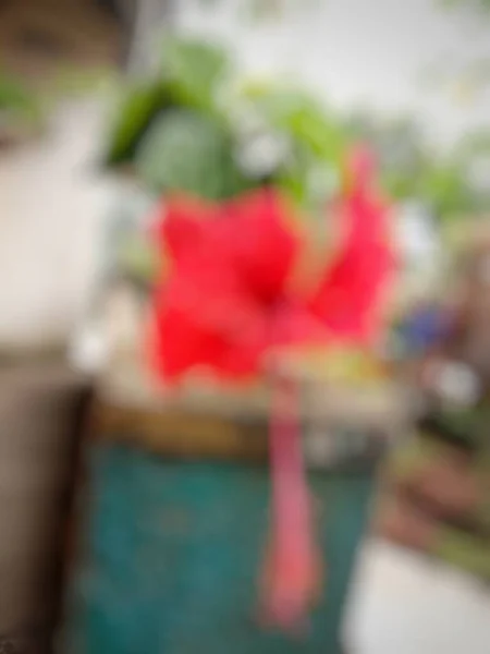 Blurry Red Hibiscus Bokeh Object Abstract Background — Stockfoto