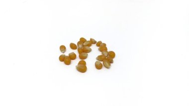 scattered corn grains isolated on a white background.Dried corn grains