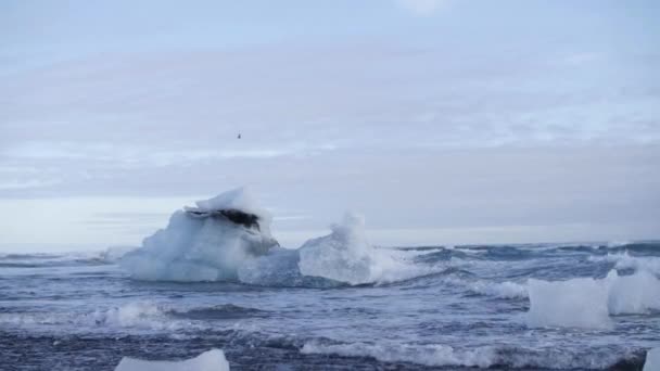 Ledovce Tající Ledovce Tají Globální Oteplování Vzestup Hladiny Moří — Stock video
