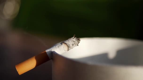 Cigaretový Návyk Nebezpečí Kouření Tabák Popelník Kontejner Kouř Pozadí Životní — Stock video