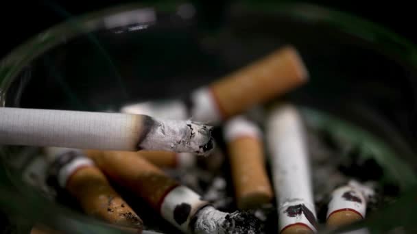 Primer Plano Adicción Tabaco Cigarrillo Cenicero Narcótico Adicto Nicotina Cáncer — Vídeos de Stock