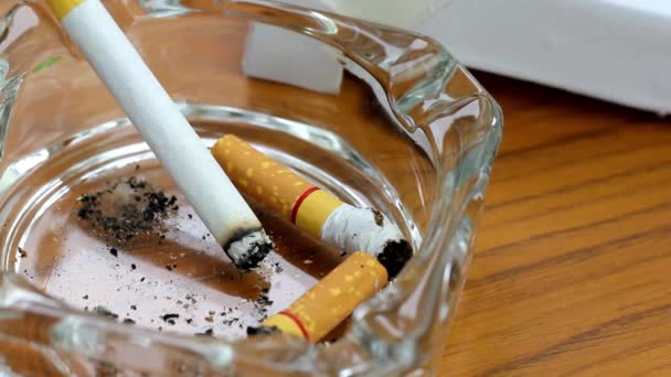 Cenicero Hábito Fumar Lleno Cigarrillo Con Nicotina Enfermedad Del Tabaco — Vídeos de Stock