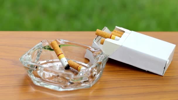 Palenie Papierosów Popielniczce Stole Kinematograficzny Nawyk Choroby Atmosfery Tytoń Nikotynowy — Wideo stockowe