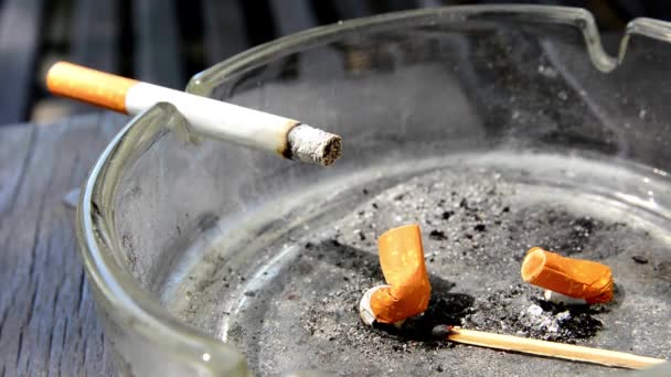 Brandende Sigaret Asbak Rook Komen Van Dichtbij Schieten Levensstijl Slechte — Stockvideo