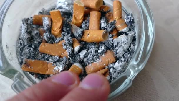 Dirty Ashtray Cigarette Butts Cigar Butt Ashtray Bad Habits Smoking — Video Stock