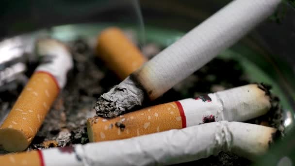 Extinguish Cigarette Ashtray Full Butt Cigar Stop Smoking Concept Unhealthy — Stockvideo