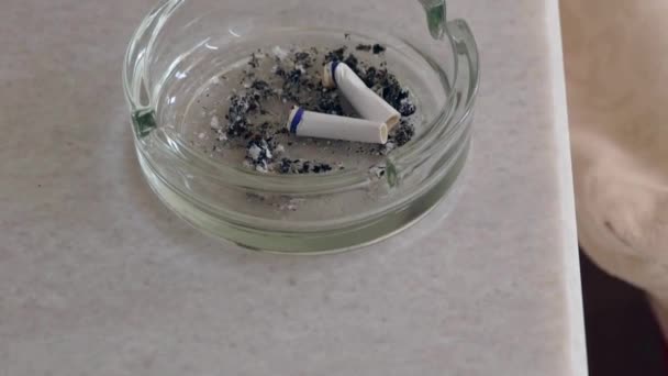 Close Cigarette Ashtray Nicotine Addiction Habit Smoke Smoking Tobacco Smoldering — Stock Video