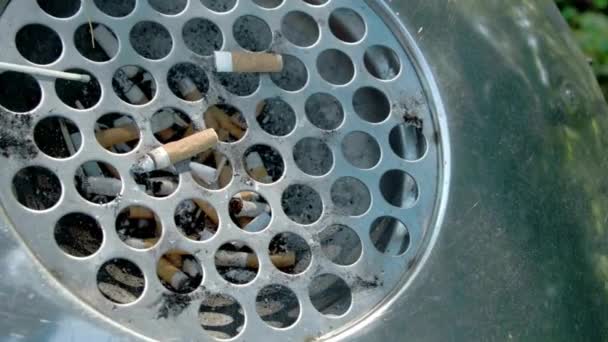 Primer Plano Del Cenicero Cigarrillo Público Fumar Cigarrillos Fondo Concepto — Vídeos de Stock