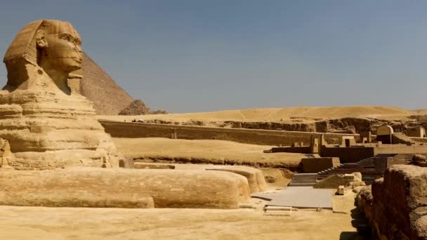 Monument Toerisme Zand Sfinx Historisch Mysterie Achtergronden Video Beeldmateriaal — Stockvideo
