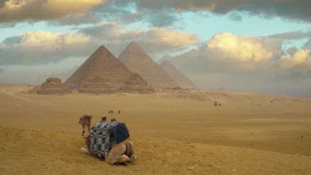 Viagem Arquitetura Deserto Pirâmide Areia Viagem Egito África Dia Estátua — Vídeo de Stock