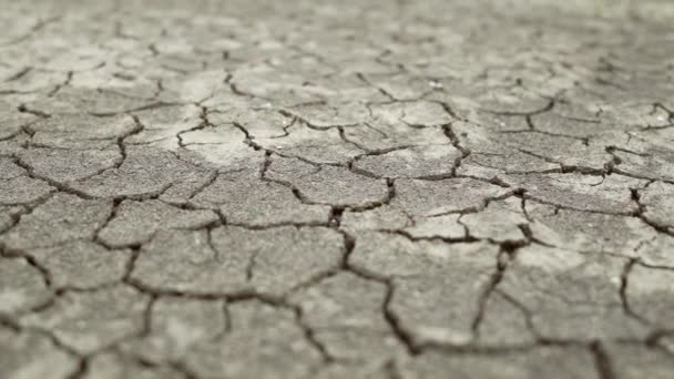 Gebroken Grond Droogte Bodemkorst Aarde Klimaatverandering Milieuramp Concept — Stockvideo