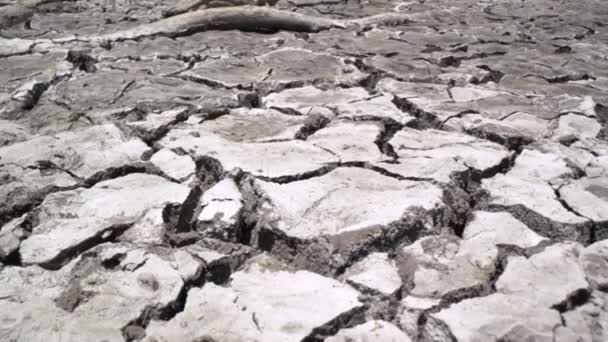 가뭄에 개념때문에 결딴나면서 변화에 토양의 가뭄이 깨졌다 — 비디오