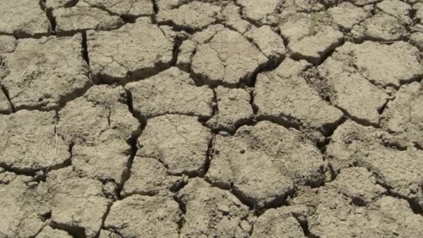 Sucho Způsobené Změnou Klimatu Koncept Sucha Sušené Popraskané Půdy Žízeň — Stock video
