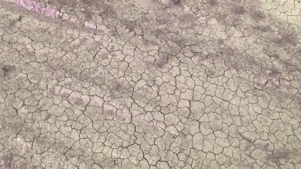 Drought Cracked Pond Wetland Become Very Drying Soil Crust Earth — Stock Video