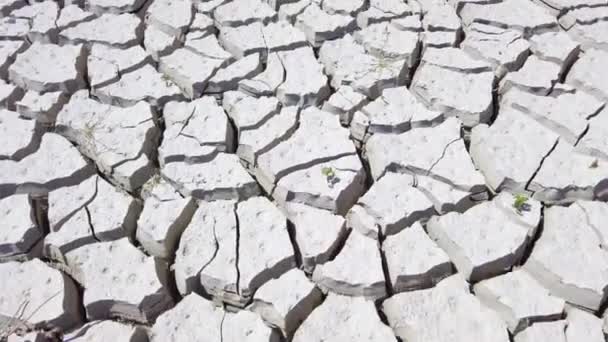 습지대에서 갈라진 가뭄은 토양이 — 비디오