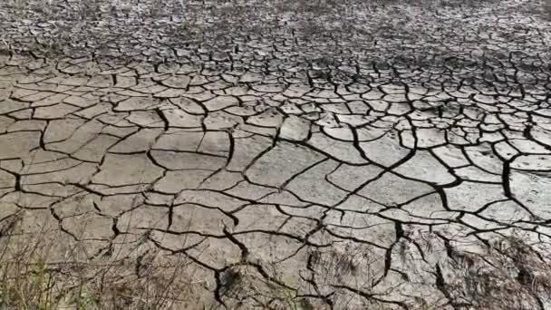 Torka Spruckna Dammen Våtmark Blir Mycket Torkande Jordskorpa Jord Klimatförändringar — Stockvideo