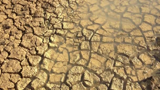 Aarde Gebarsten Door Droogte Droge Gebarsten Aarde Zomer Barren Veld — Stockvideo