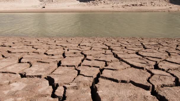 Footage Soil Drought Dry Land Mud Cracks Water Scarcity Climate — Video