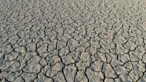 가뭄으로 최악의 날씨로 뜨거운건 — 비디오