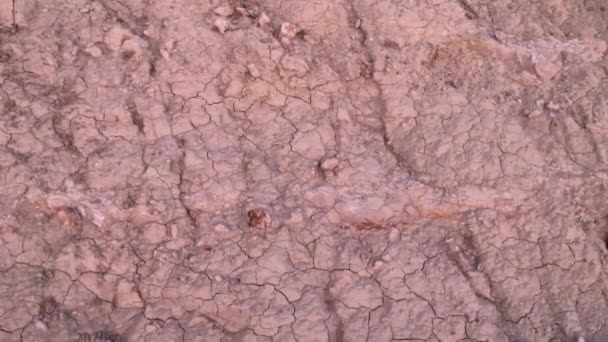 Close Push Cracks Drought Soil Crisis Cross Dried Mud Backgrounds — ストック動画