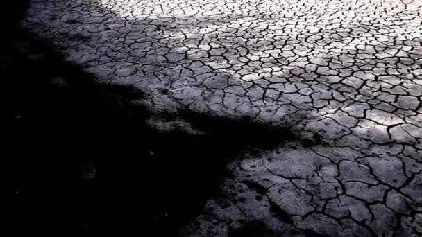 가뭄으로 최악의 날씨로 뜨거운건 — 비디오