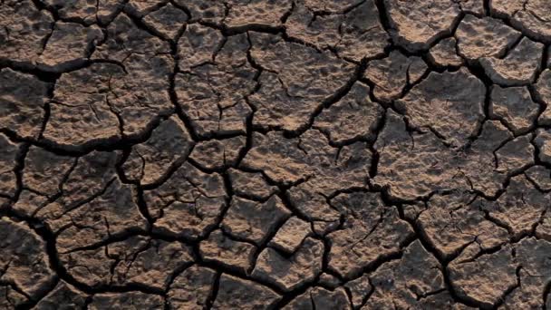 가까이 가뭄의 개념에 — 비디오