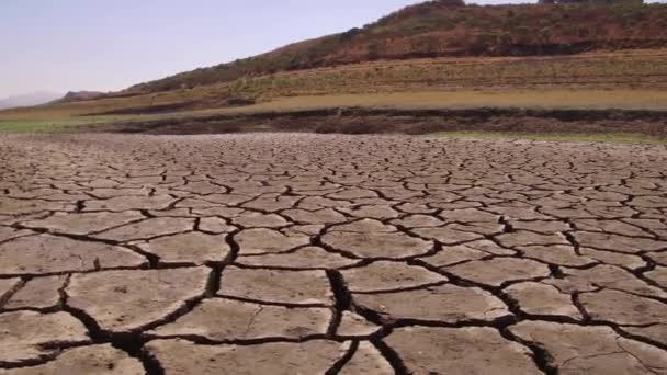 Droogte Gebarsten Bodems Droge Meren Textuur Milieu Ramp Water Crisis — Stockvideo