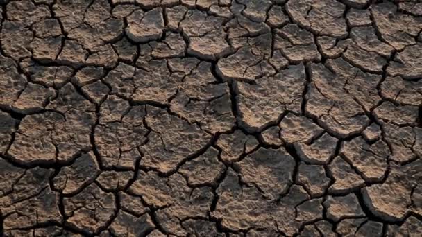 Крупный План Арид Трещины Земли Сушка Трещины Земли Засухи Климата — стоковое видео